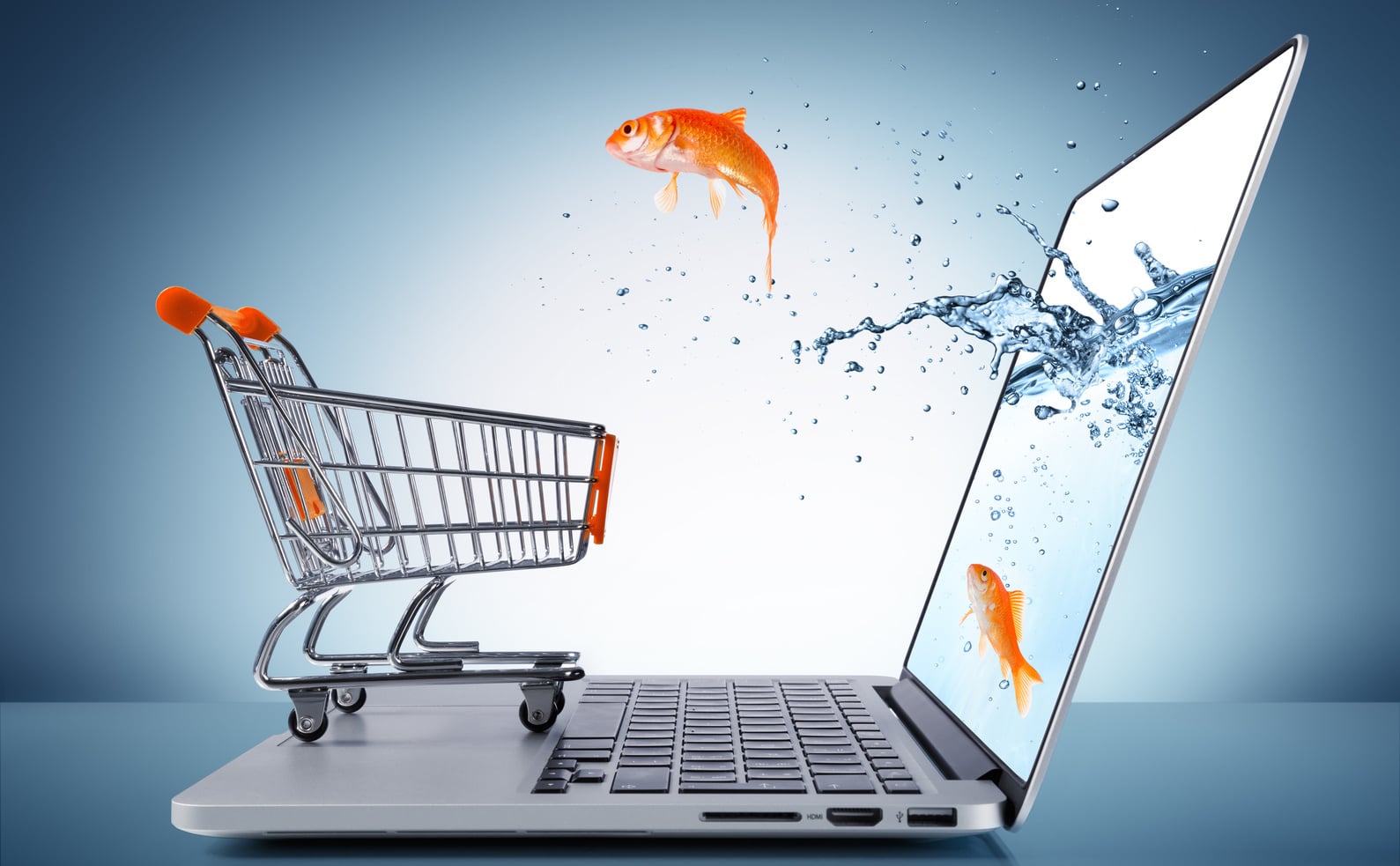 The Evolution of Ecommerce Digital Marketing